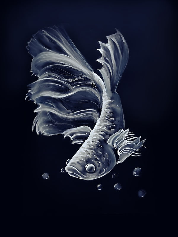 DEEP FISH