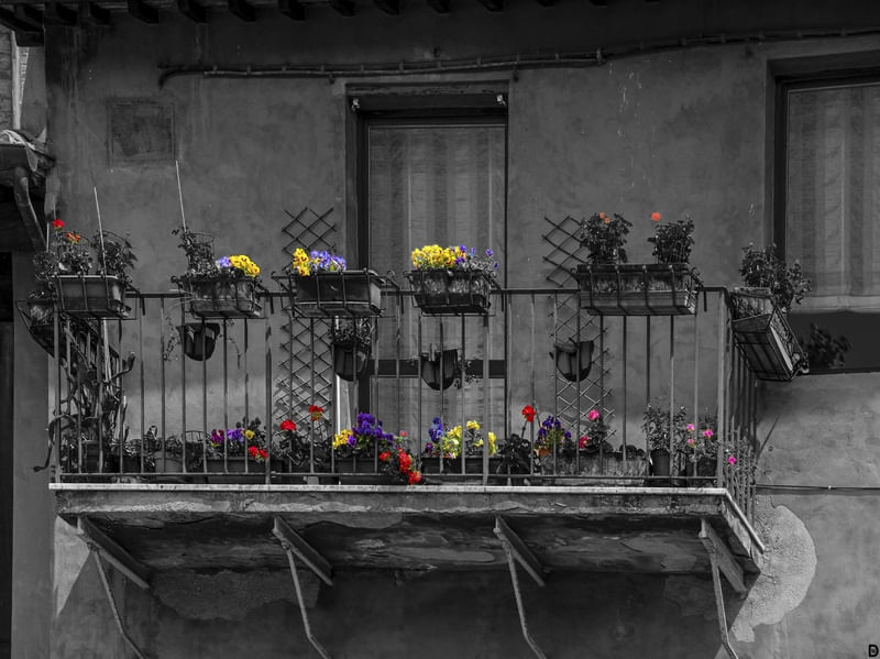 FLORES COLORIDAS NA VARANDA