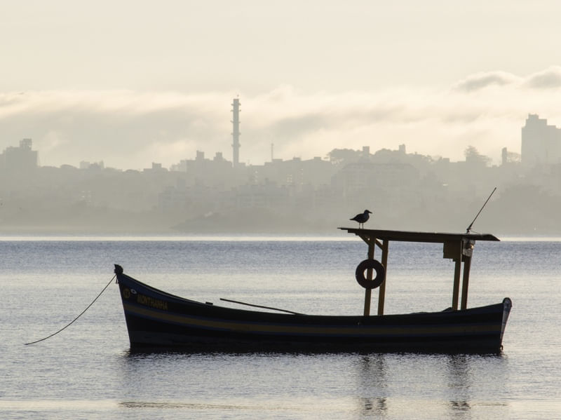 BARCO E GAIVOTA