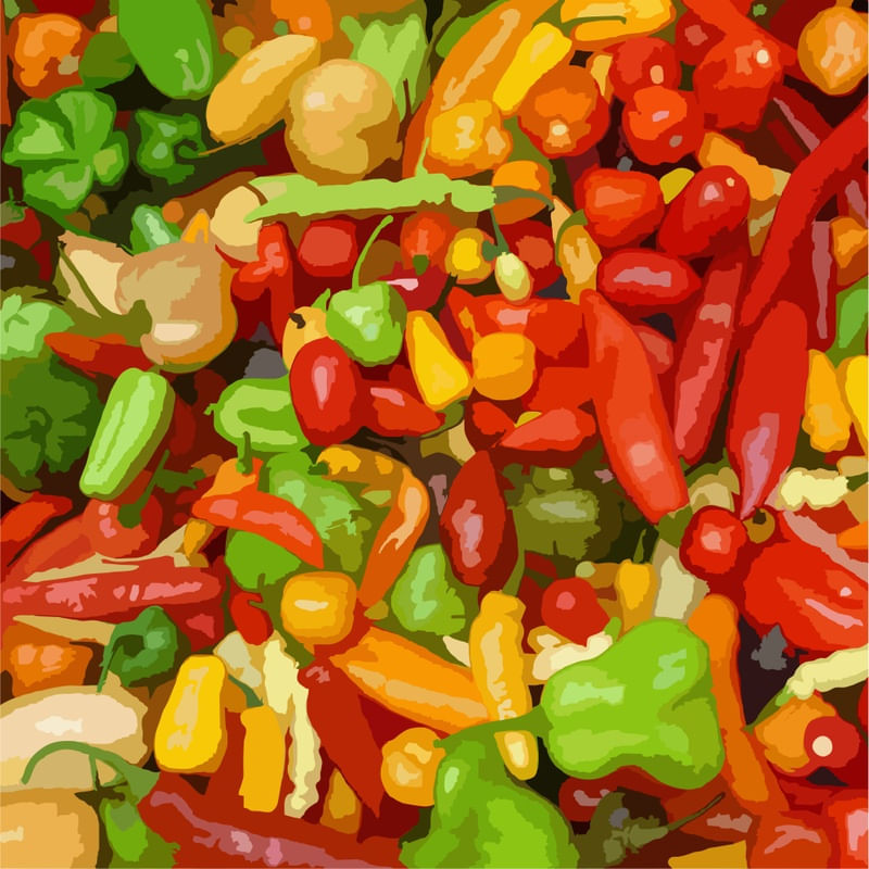 PIMENTEIRA