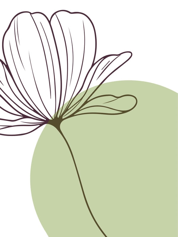 FLORES VERDE 2