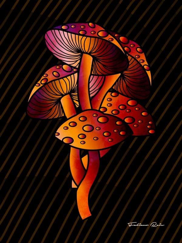 ILLUSTRATED MUSHROOMS