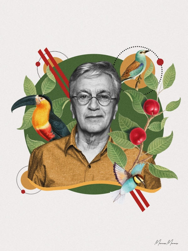 CAETANO TROPICAL