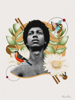 DJAVAN TROPICAL