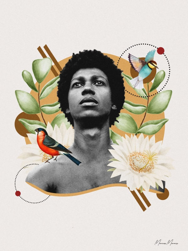 DJAVAN TROPICAL