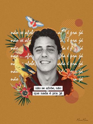 CHICO BUARQUE TROPICAL