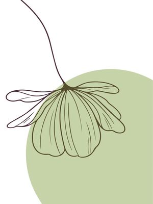 FLORES VERDES 1