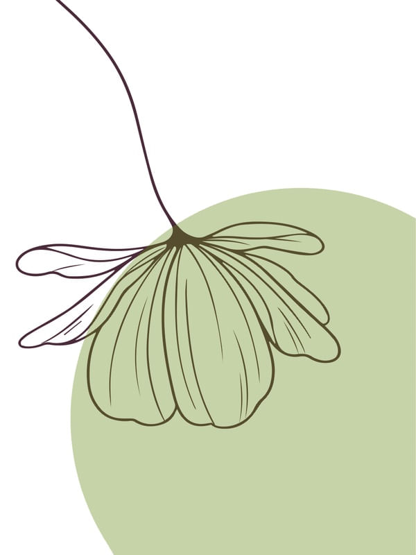 FLORES VERDES 1