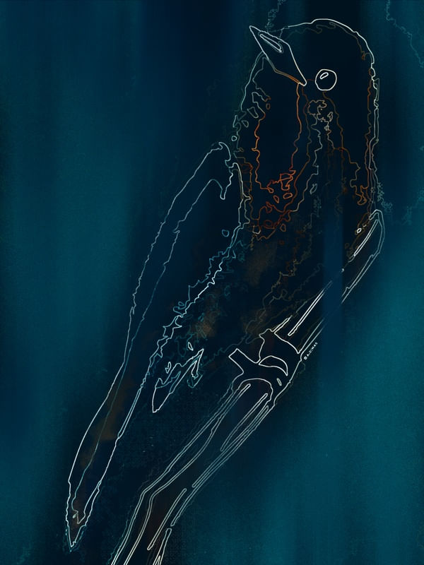 BIRD ART_01