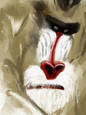MONKEY ART01