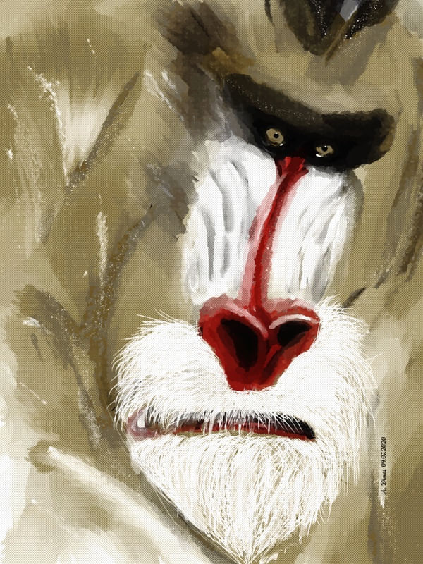 MONKEY ART01