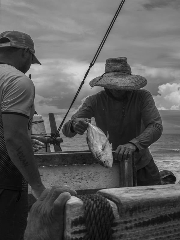 PESCADORES DO CANTO VERDE PNW