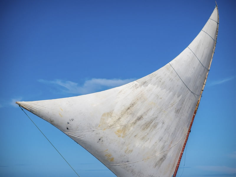 CEU AZUL_ VELA DA JANGADA II