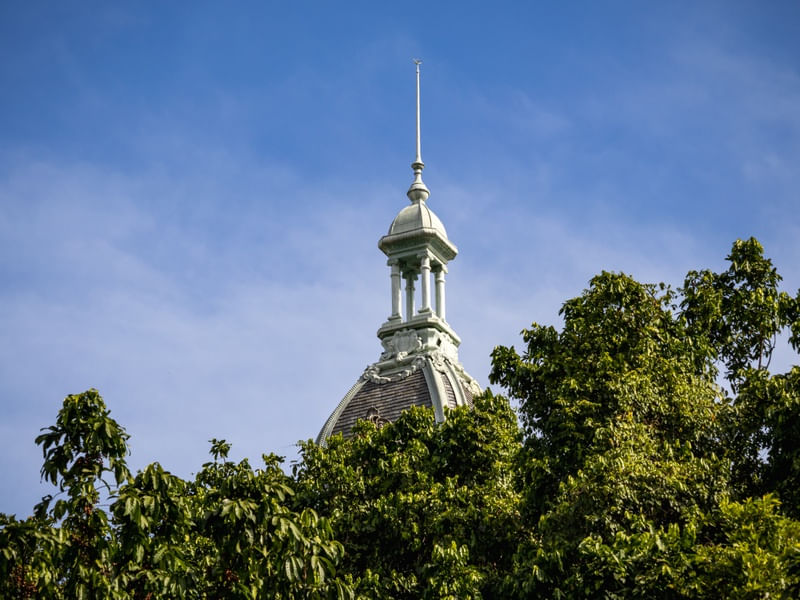 TORRE E NATUREZA