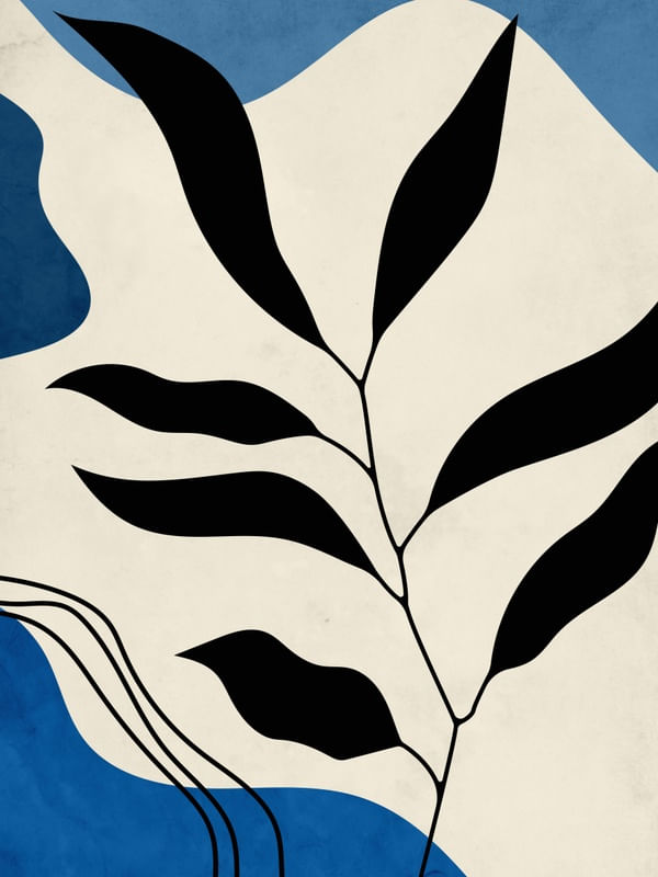 ORGANIC BLUE 2
