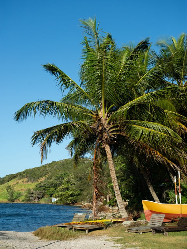 A ILHA E O BARCO