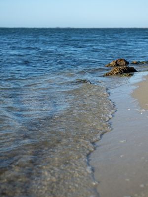 O MAR EM MOVIMENTO