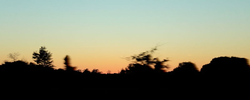 FLORIDA SPEEDY HORIZON