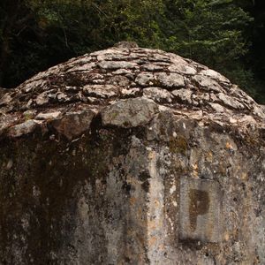 DETALHE EM COLUNA PORTUGUESA