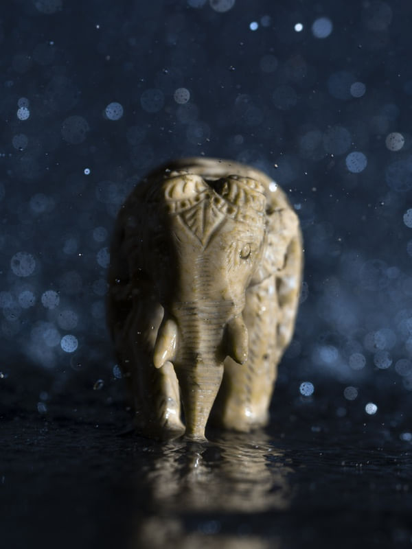 CHUVA NA SAVANA