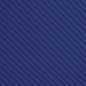 PANTONE 005