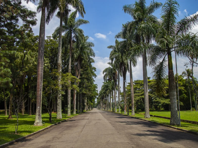 PARQUE 9037