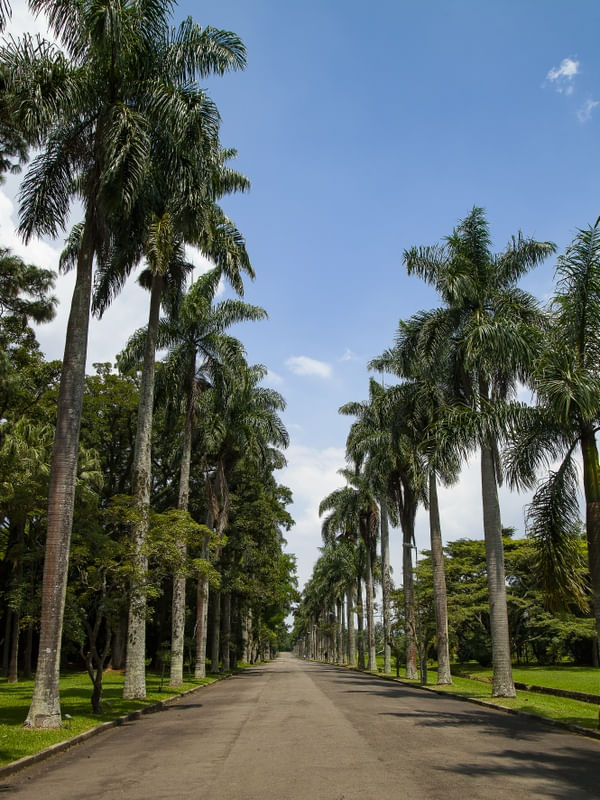 PARQUE 9038