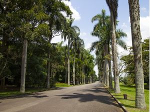 PARQUE 9039