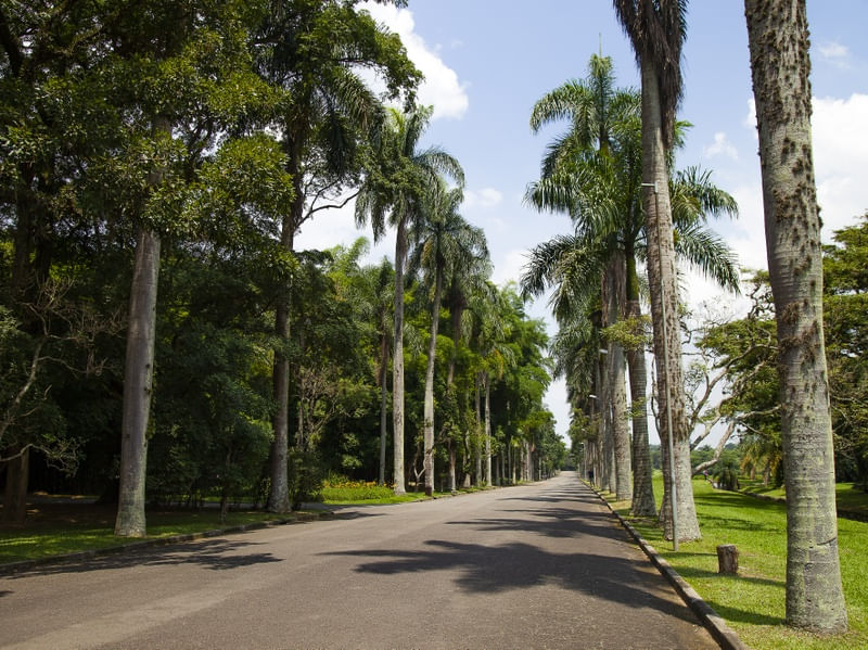 PARQUE 9039