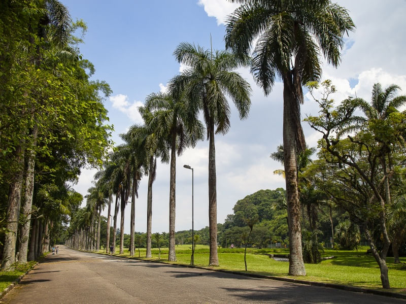 PARQUE 9041