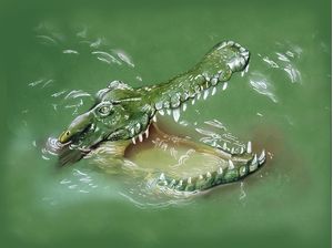 DEEP CROCODILE