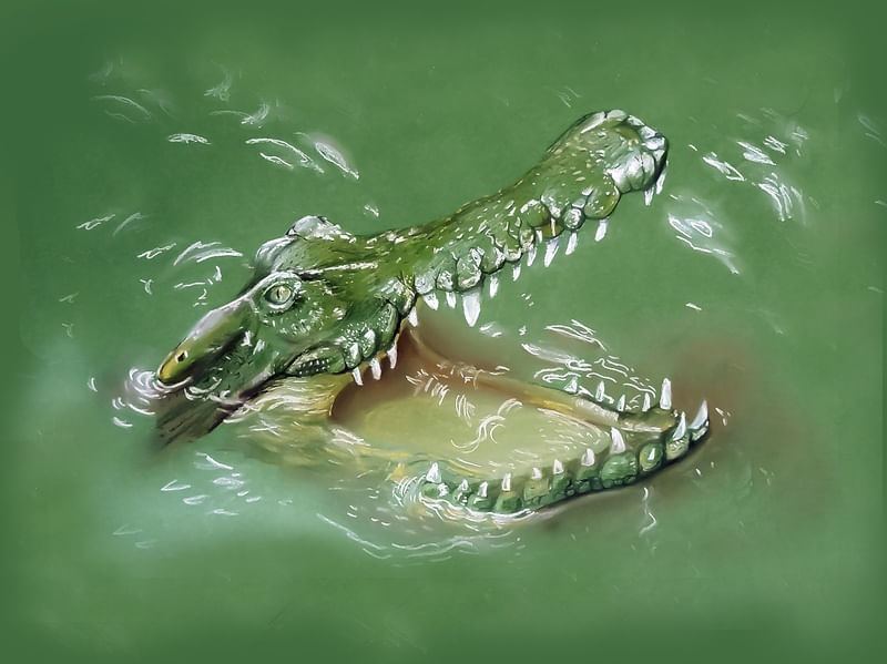 DEEP CROCODILE