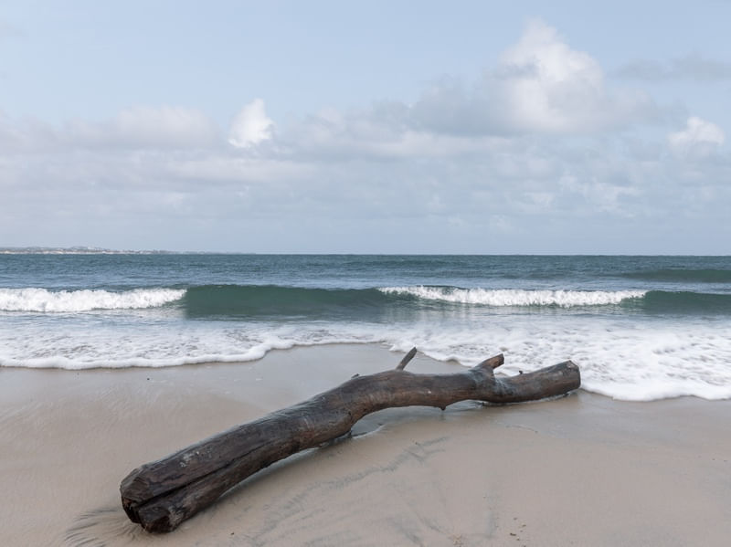 O GIGANTE QUE O MAR TRAZ