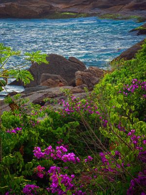 OUTONO EM ITACOATIARA