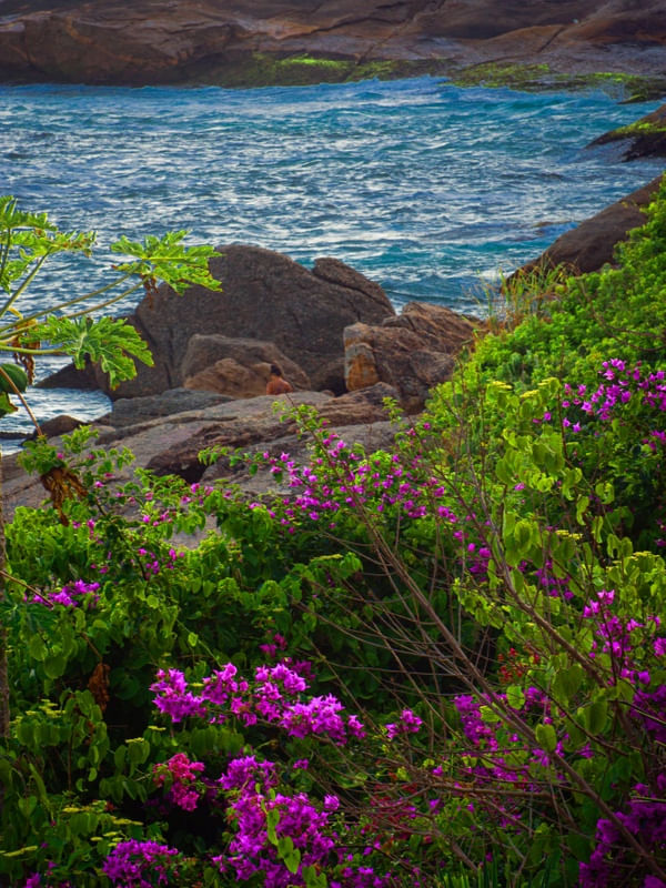 OUTONO EM ITACOATIARA