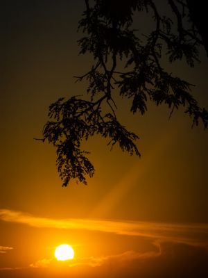 UM RAIO DE SOL
