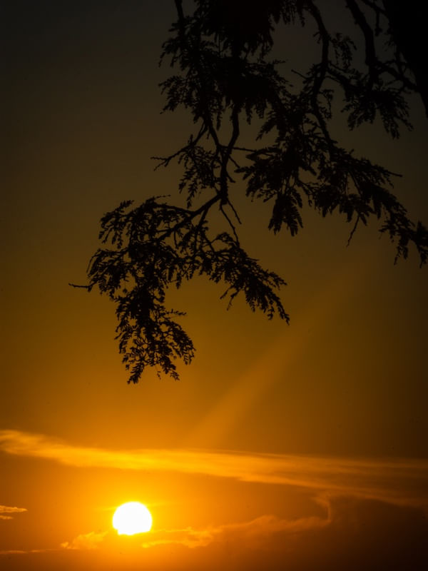 UM RAIO DE SOL