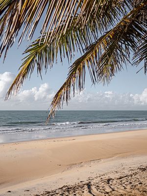 SOMBRA DA PRAIA - COQUEIRINHO, PARAÍBA