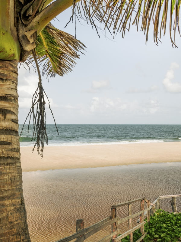 SOMBRA DO COQUEIRO II - PRAIA BELA, PB