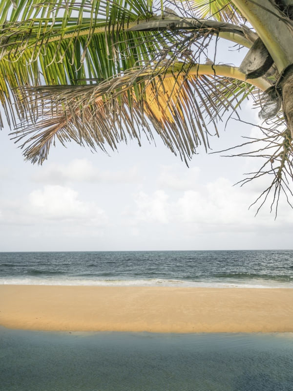 SOMBRA DO COQUEIRO - PRAIA BELA, PB