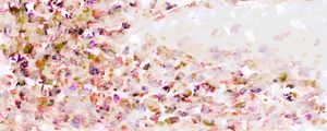 HANAMI 4 MULTI PANORAMICO, FLORAL ABSTRATO FLORES PÉTALAS ELEGANTE PINTURA