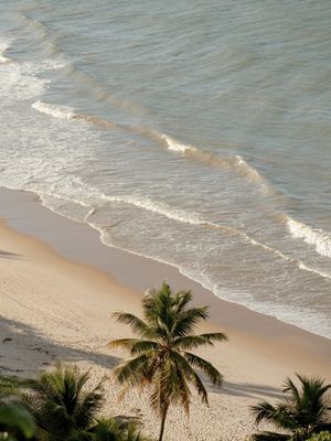 PRAIA DE COQUEIRINHO - PARAÍBA II