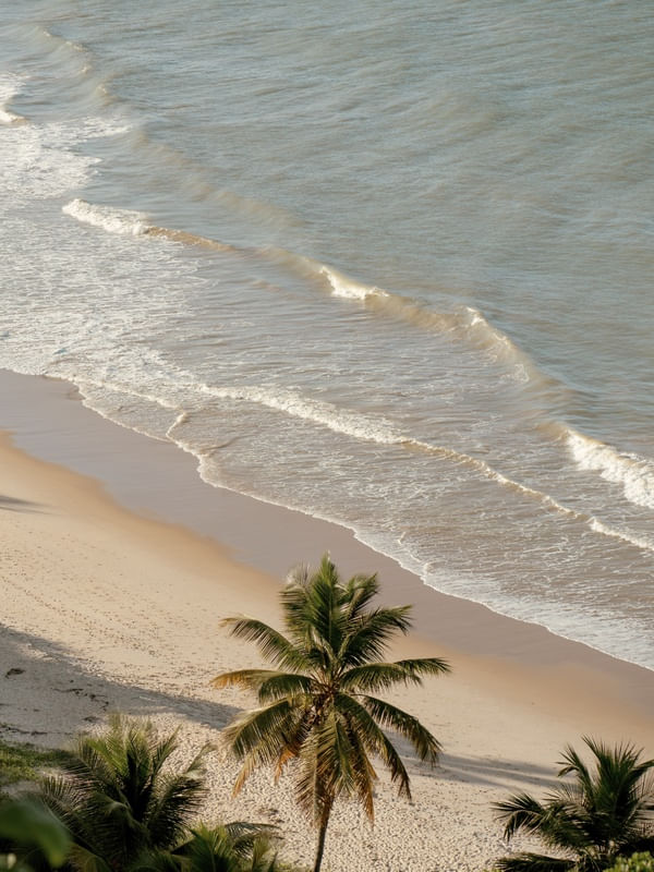 PRAIA DE COQUEIRINHO - PARAÍBA II