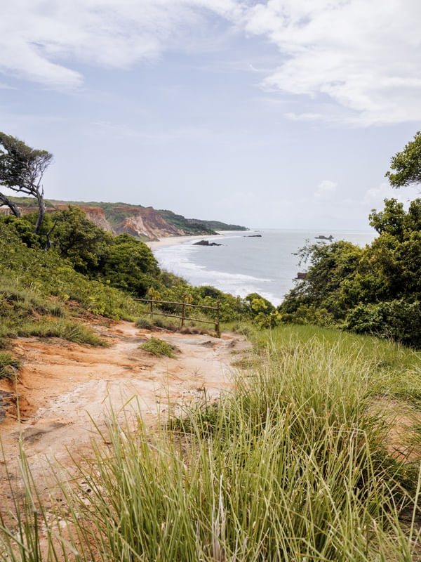 PRAIA DE ARAPUCA - PARAÍBA