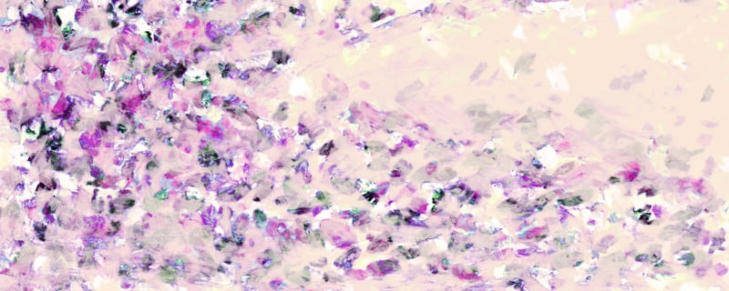 HANAMI 5 ROXO BEGE PANORAMICO, FLORAL ABSTRATO FLORES PÉTALAS ELEGANTE PINTURA