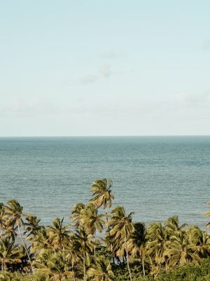 PRAIA DE COQUEIRINHO - PARAÍBA IV
