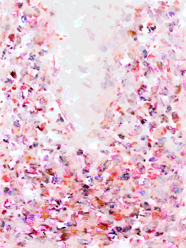 HANAMI 1 ROSA, FLORAL ABSTRATO FLORES PÉTALAS ELEGANTE PINTURA