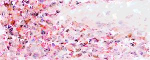 HANAMI 1 ROSA PANORAMICO, FLORAL ABSTRATO FLORES PÉTALAS ELEGANTE PINTURA