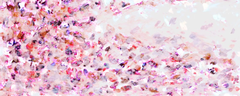 HANAMI 1 ROSA PANORAMICO, FLORAL ABSTRATO FLORES PÉTALAS ELEGANTE PINTURA