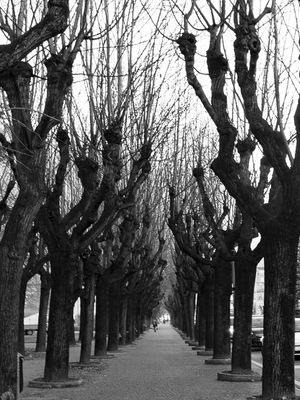 CAMINHOS DE COMO-ITÁLIA